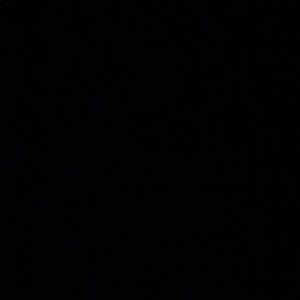 Meet your Posher, Maddie